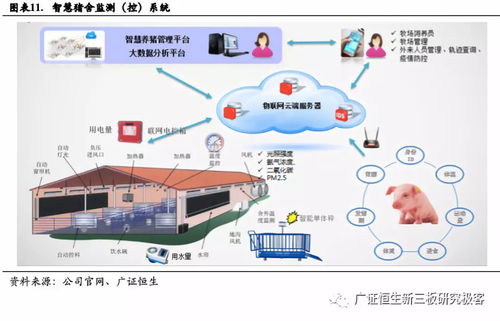 深耕物聯網嵌入式技術，利爾達（832149.OC）如何打造產業鏈一站式服務？