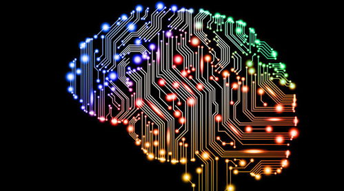 人工智能浪潮下的SEO變革 從2016路線圖到基礎軟件開發